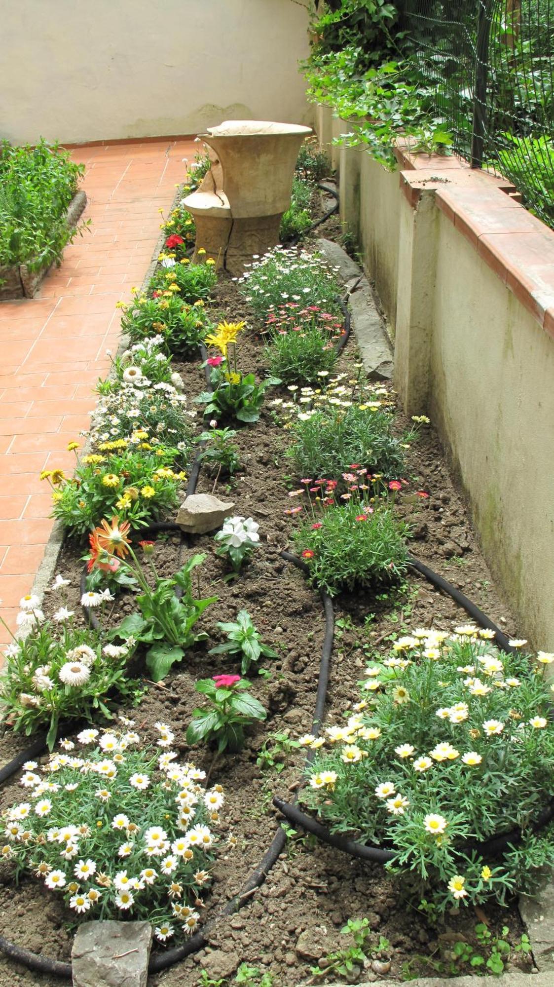 Appartamento Le Petit Jardin Center